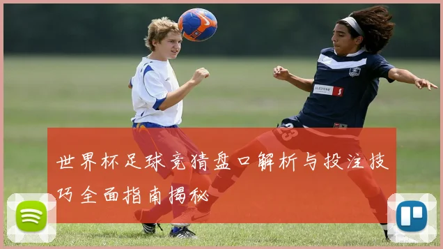 世界杯足球竞猜盘口解析与投注技巧全面指南揭秘