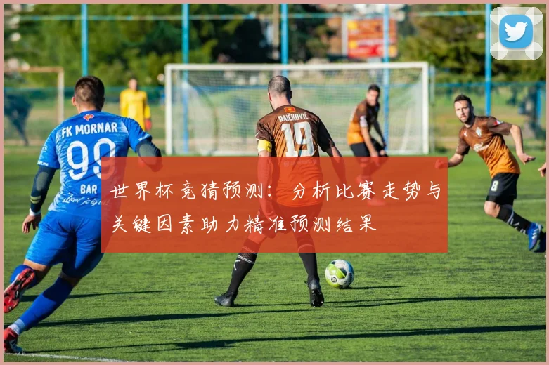 世界杯竞猜预测：分析比赛走势与关键因素助力精准预测结果