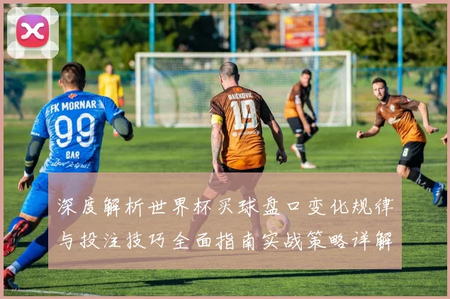 深度解析世界杯买球盘口变化规律与投注技巧全面指南实战策略详解