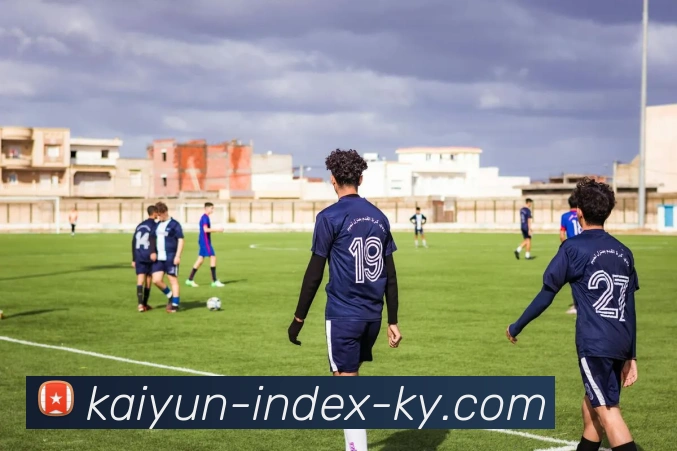 开云平台生态图